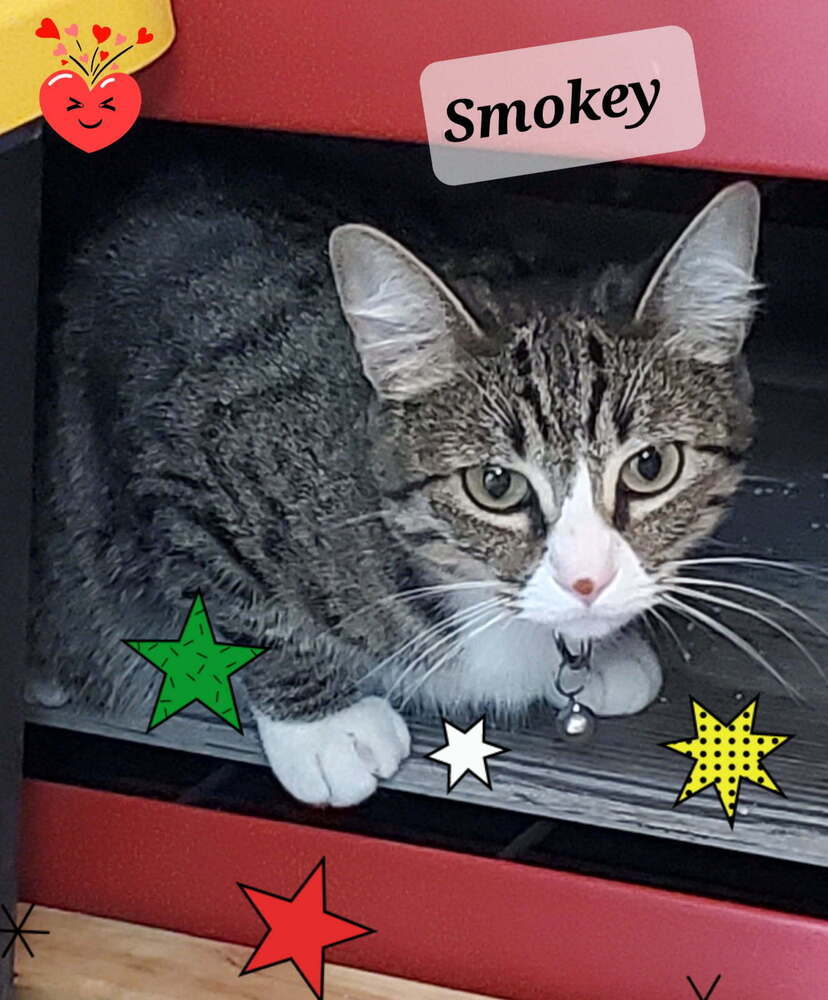 Smokey 1668