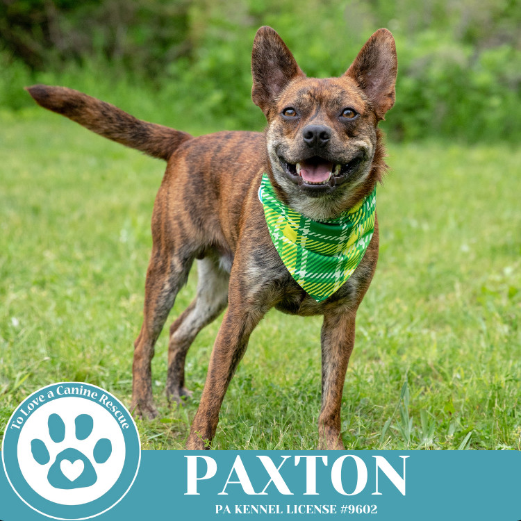 Paxton 032225
