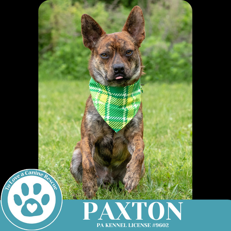 Paxton 032225