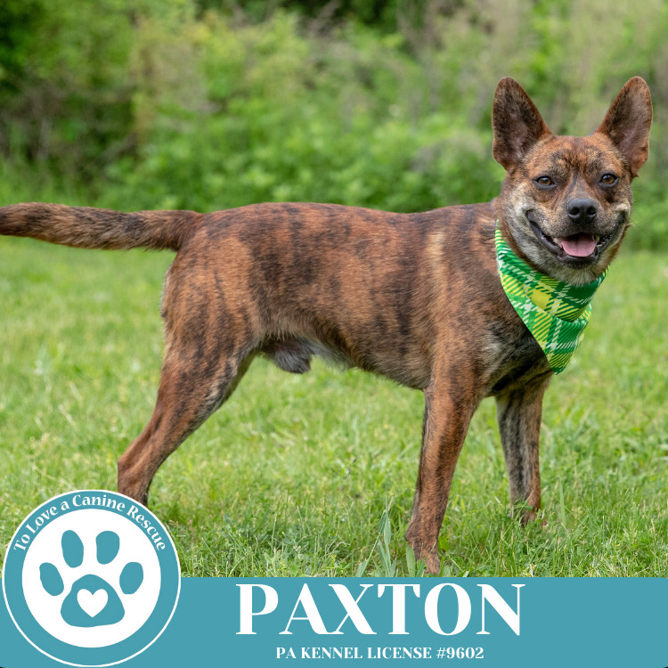 Paxton 032225