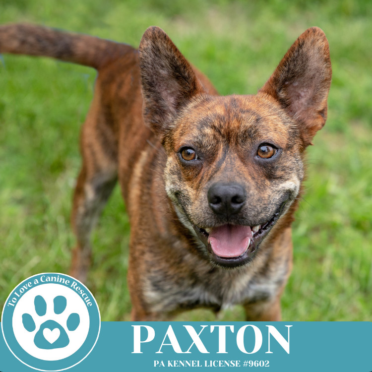 Paxton 032225