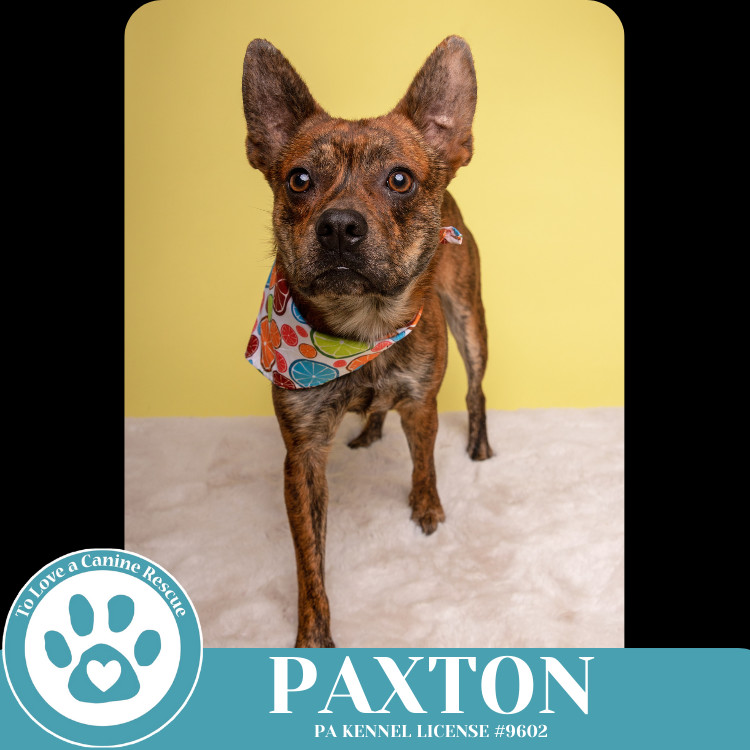 Paxton 032225