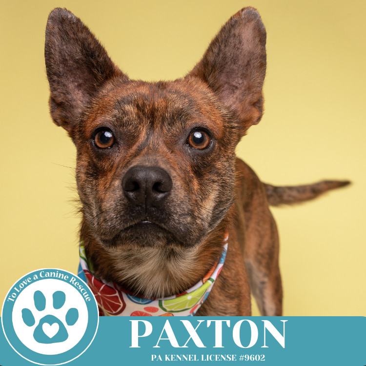 Paxton 032225