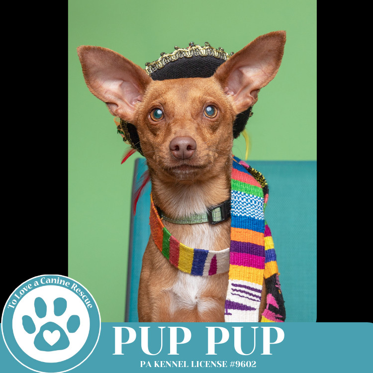Pup Pup 032225