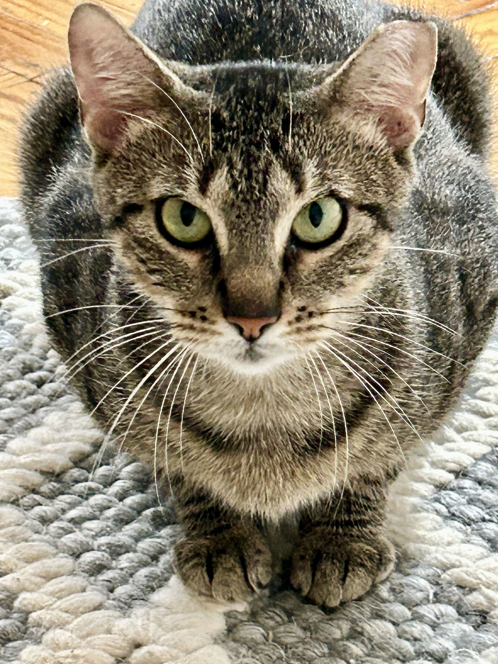 Ivy!
