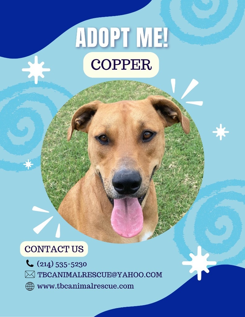 Copper