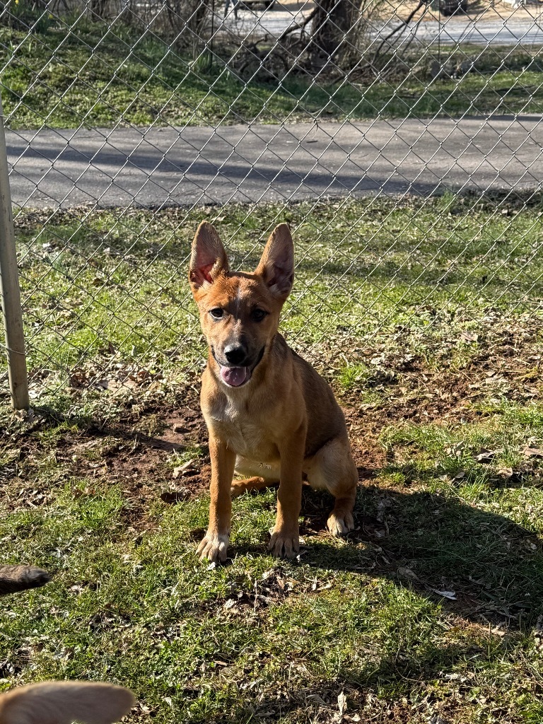 Ruby