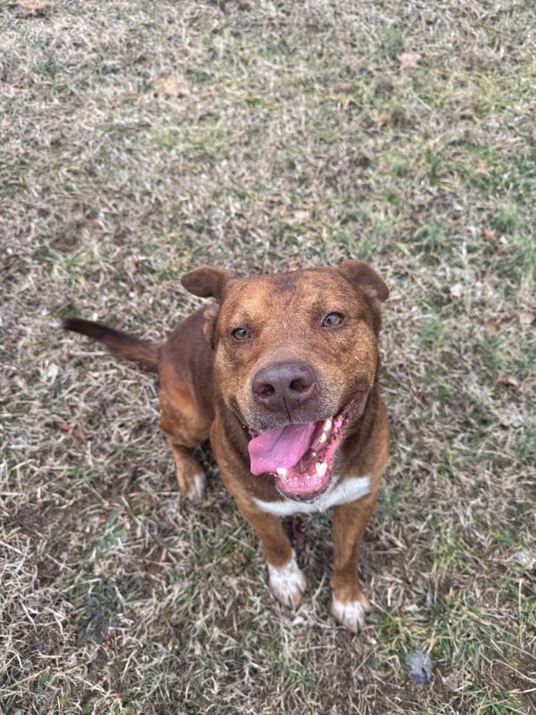 Nash