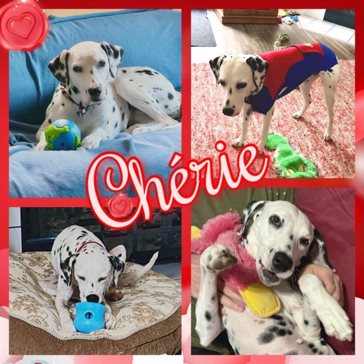 Chrie 1