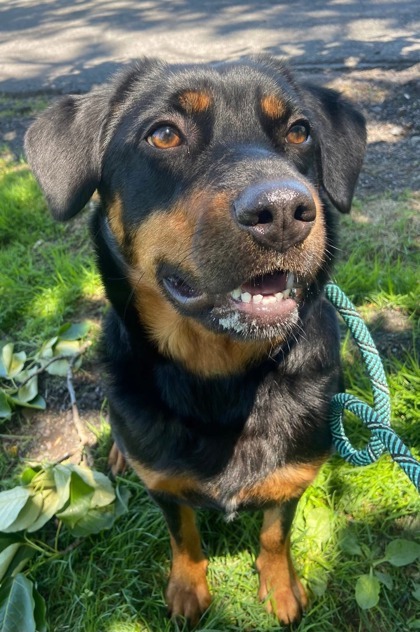 CHIQUITA