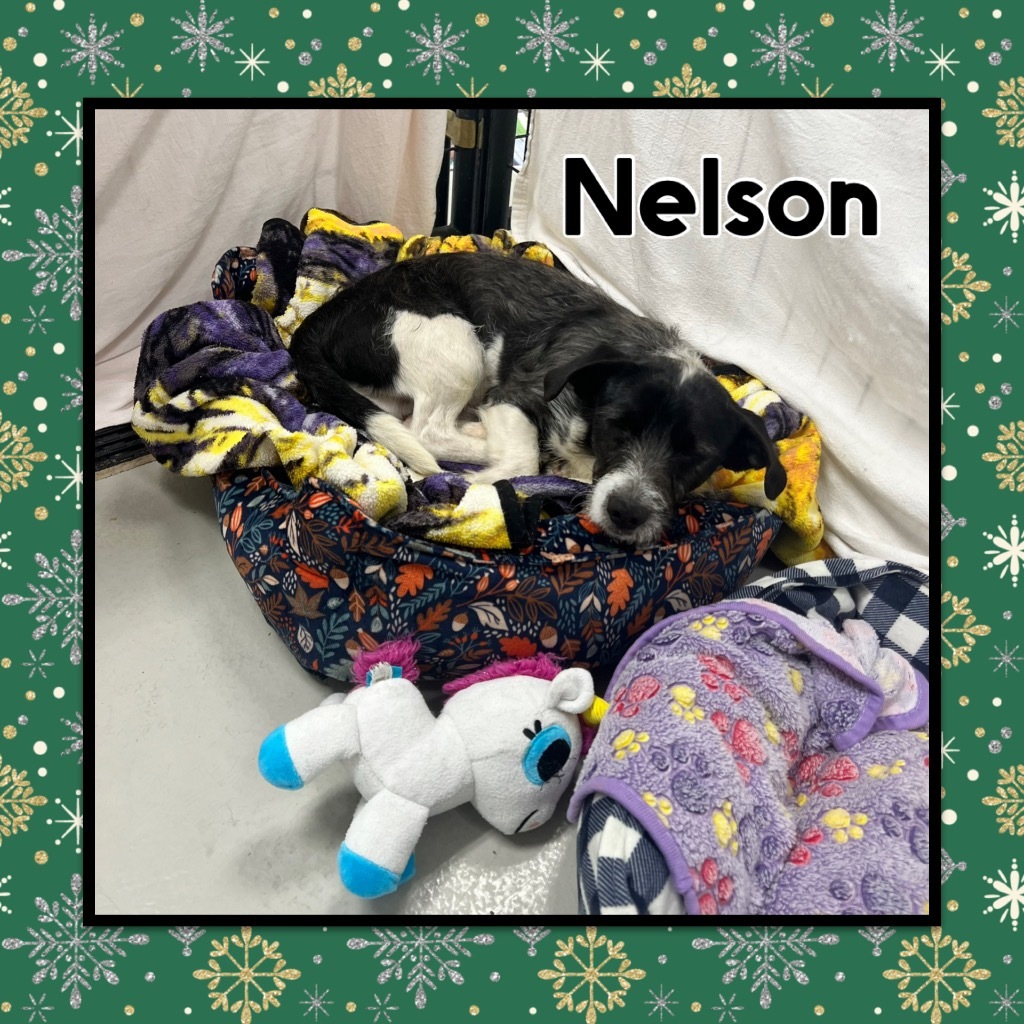 Nelson