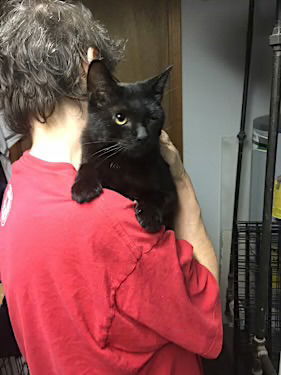Jack Sparrow bonded with Salem