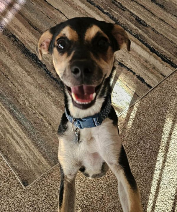 Beethoven thumbnail 2