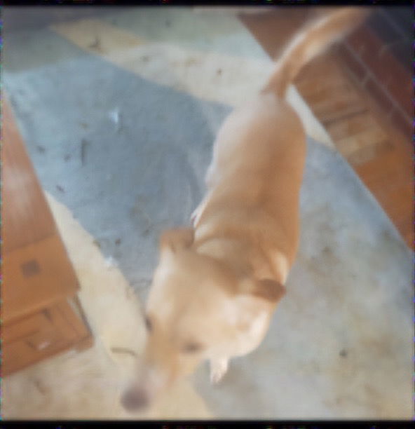 Shiloh