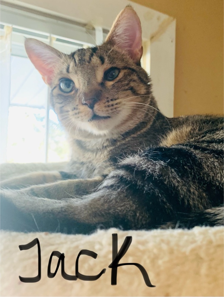 Jack