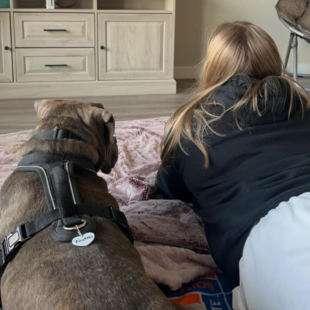 Shaggy, an adoptable Pit Bull Terrier, Boxer in Nampa, ID, 83686 | Photo Image 4