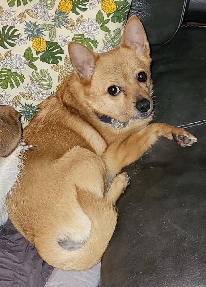 ESTHER