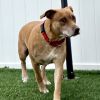 Nyla photo 4