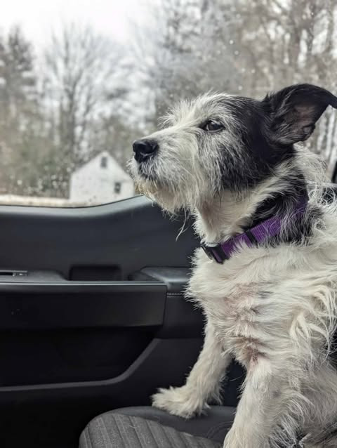 Chippy aka Chimney