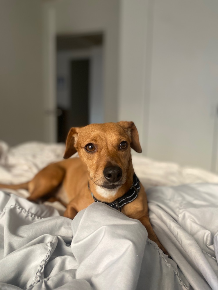 Rita