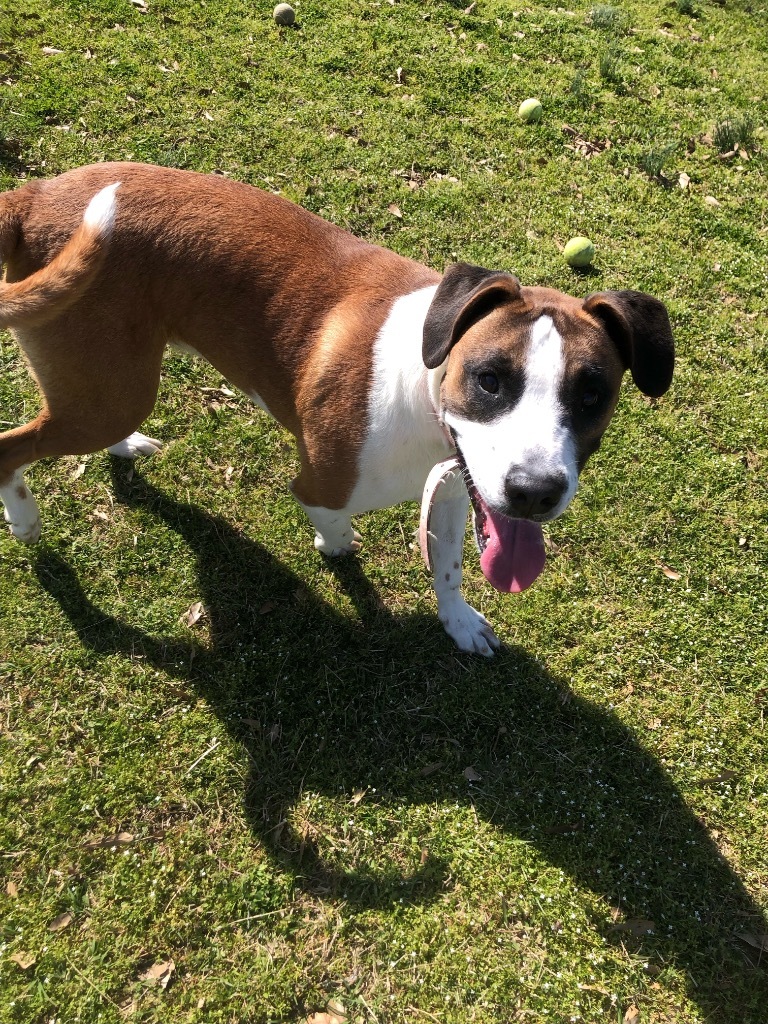Bailey