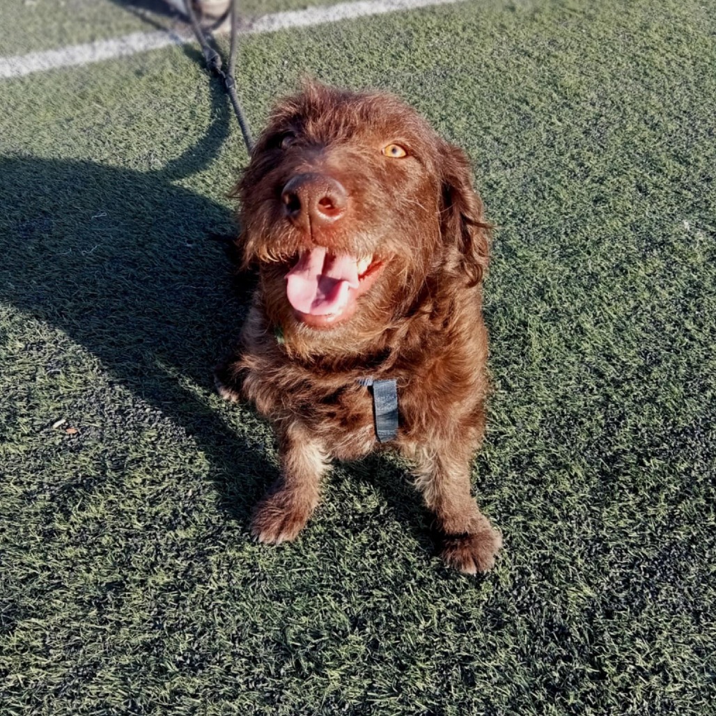 Annie