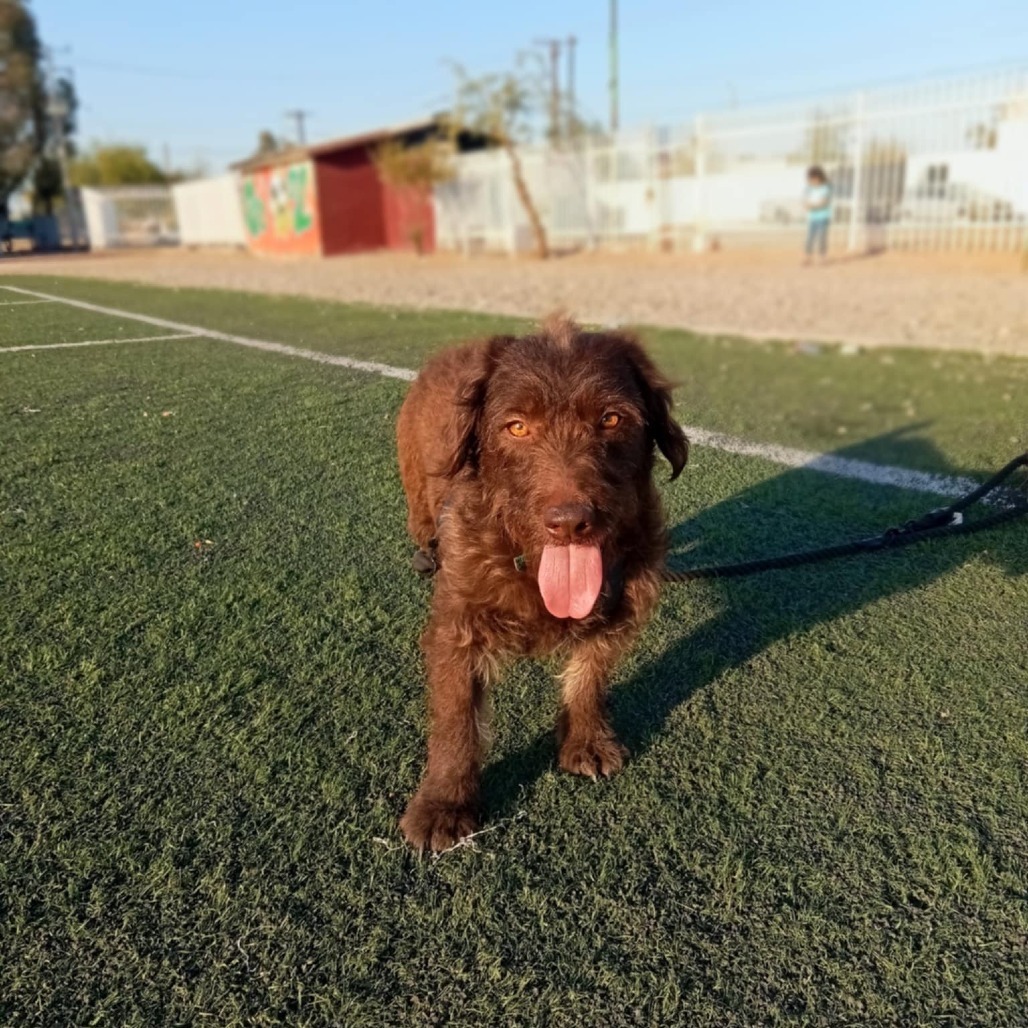 Annie