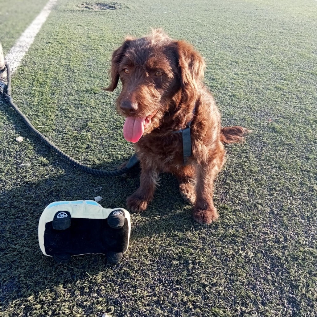 Annie