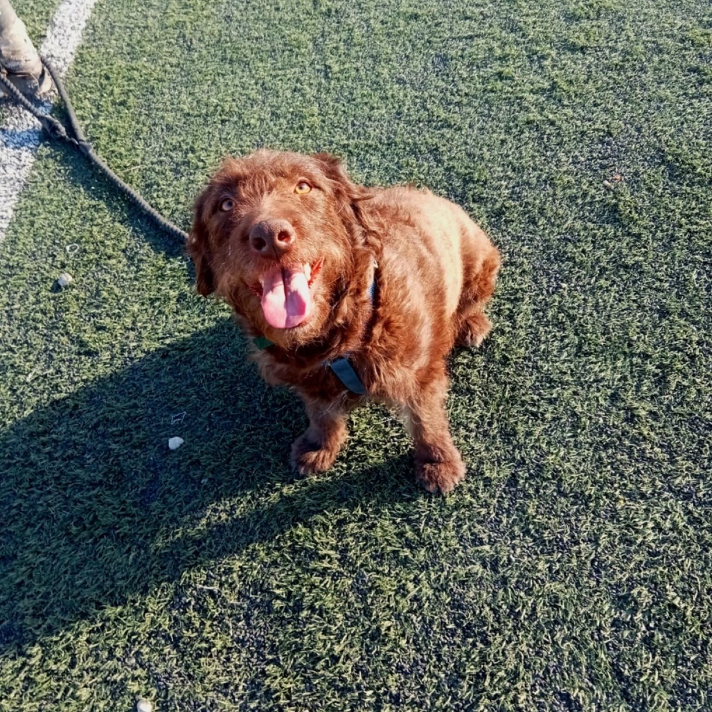 Annie