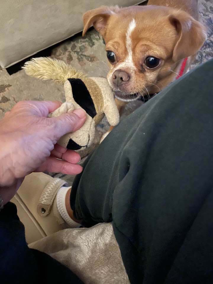 Quasimodo