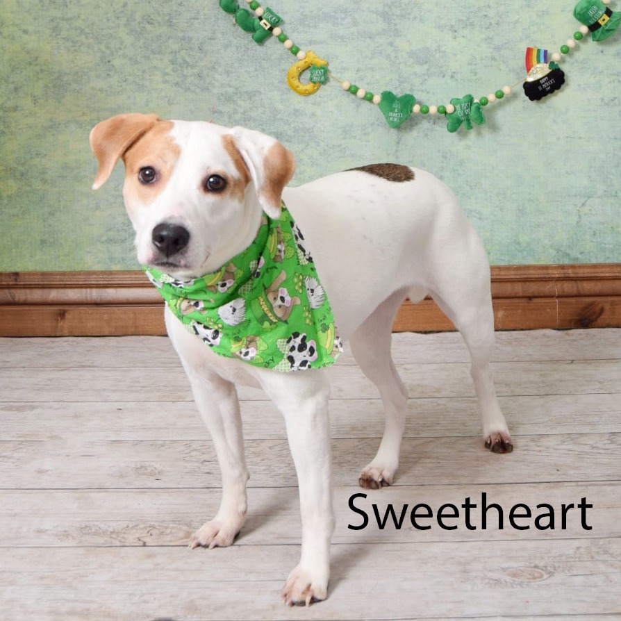 Sweetheart