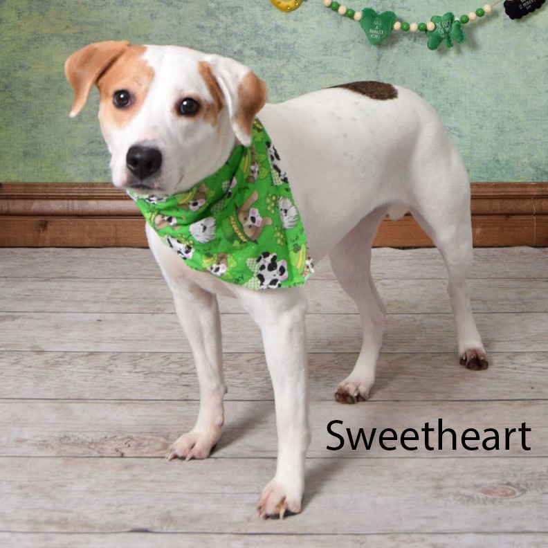 Sweetheart