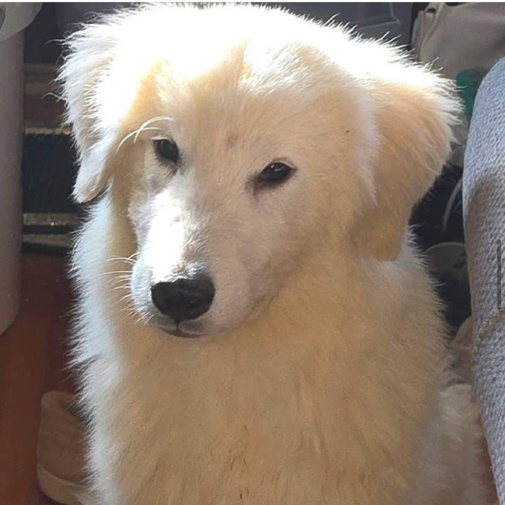 Martha aka Moana