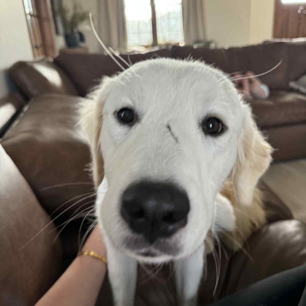 Martha aka Moana