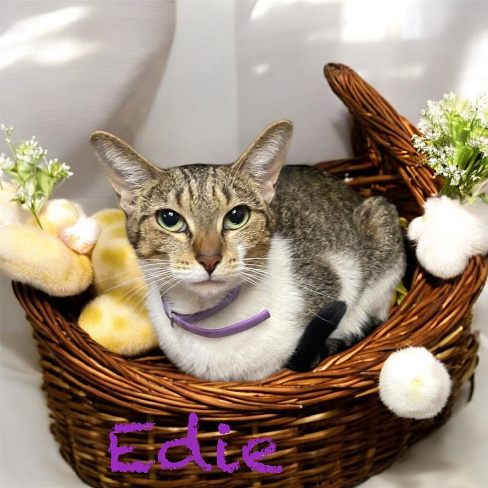Edie