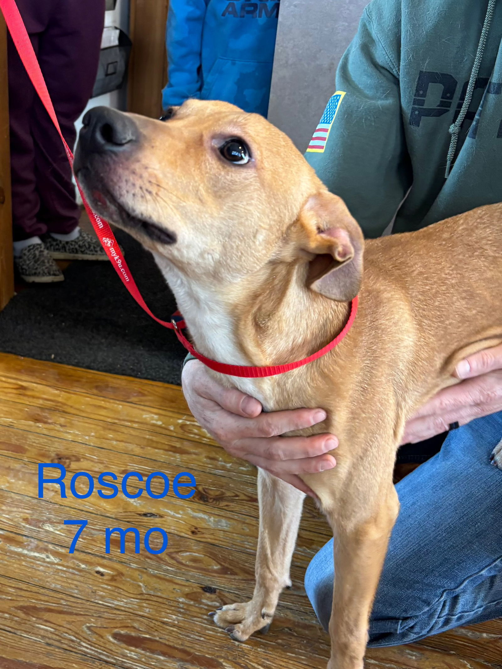 Roscoe - MEET ME!