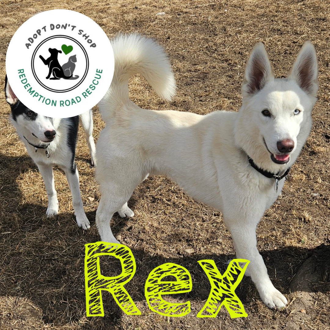 Rex