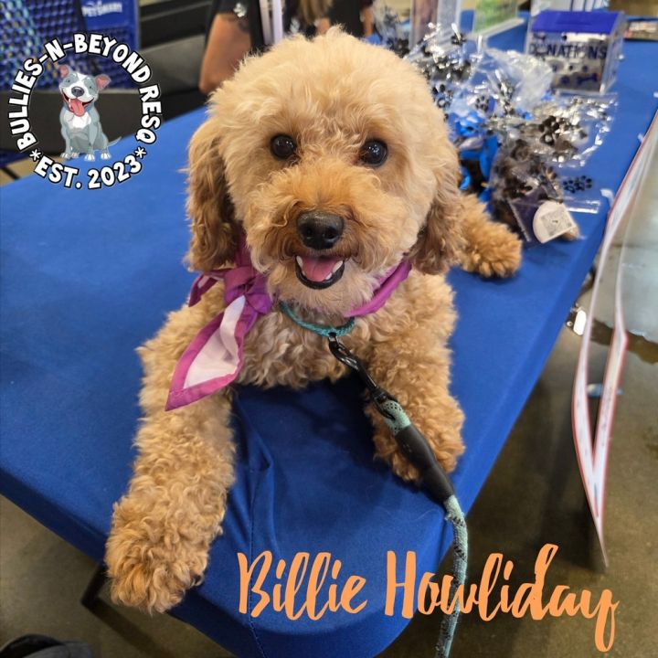 Billie Howliday 1