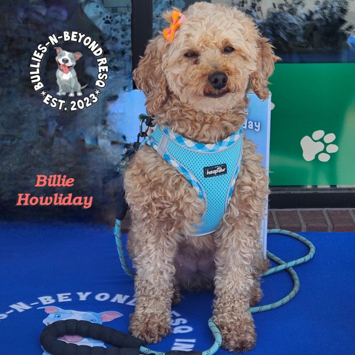 Billie Howliday 2