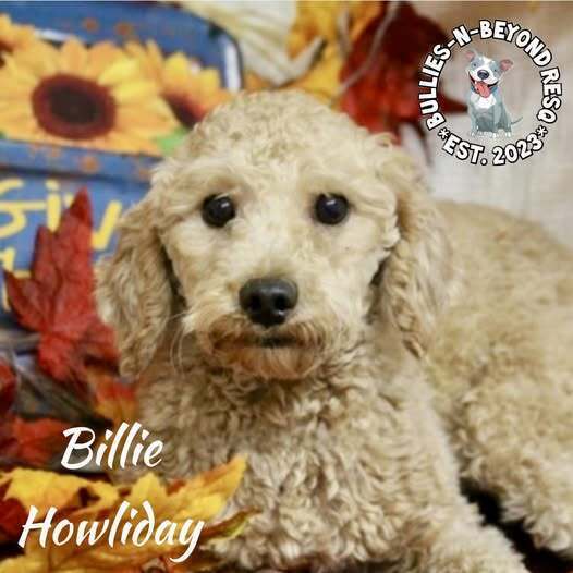 Billie Howliday 3