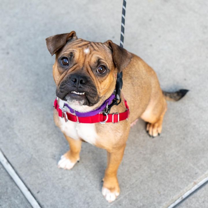 Lucille 2