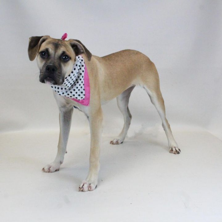 Lila Lou 5