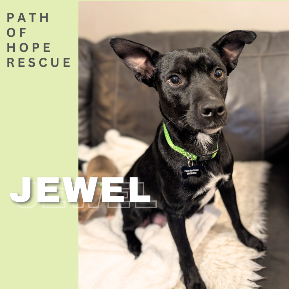 Jewel