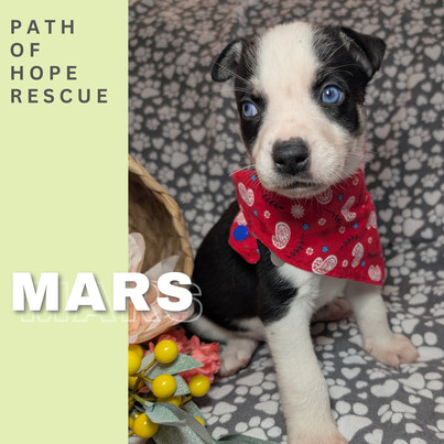 Mars