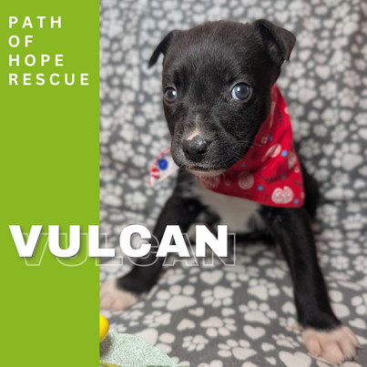 Vulcan