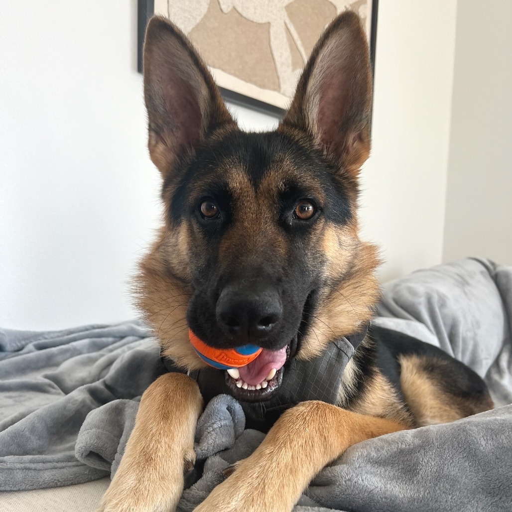 Conan