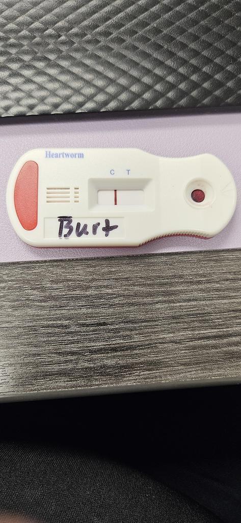 Burt