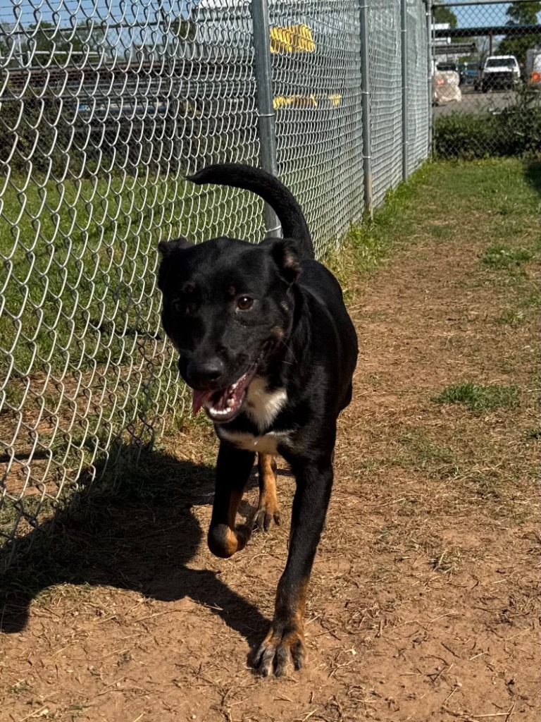 Burt