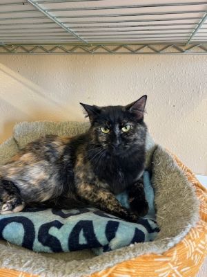 Frannie, Young Female unknown