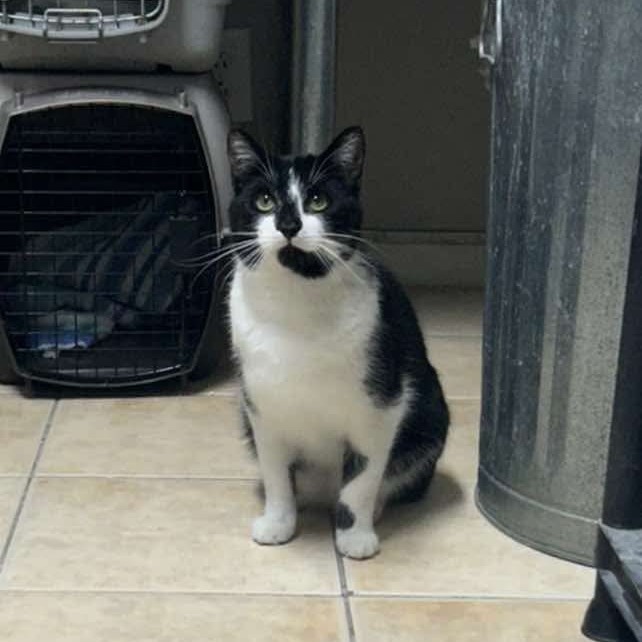 Tux